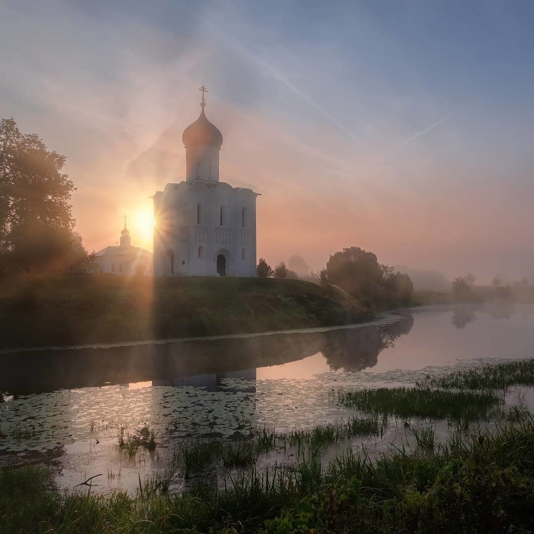 Отовсюду 651