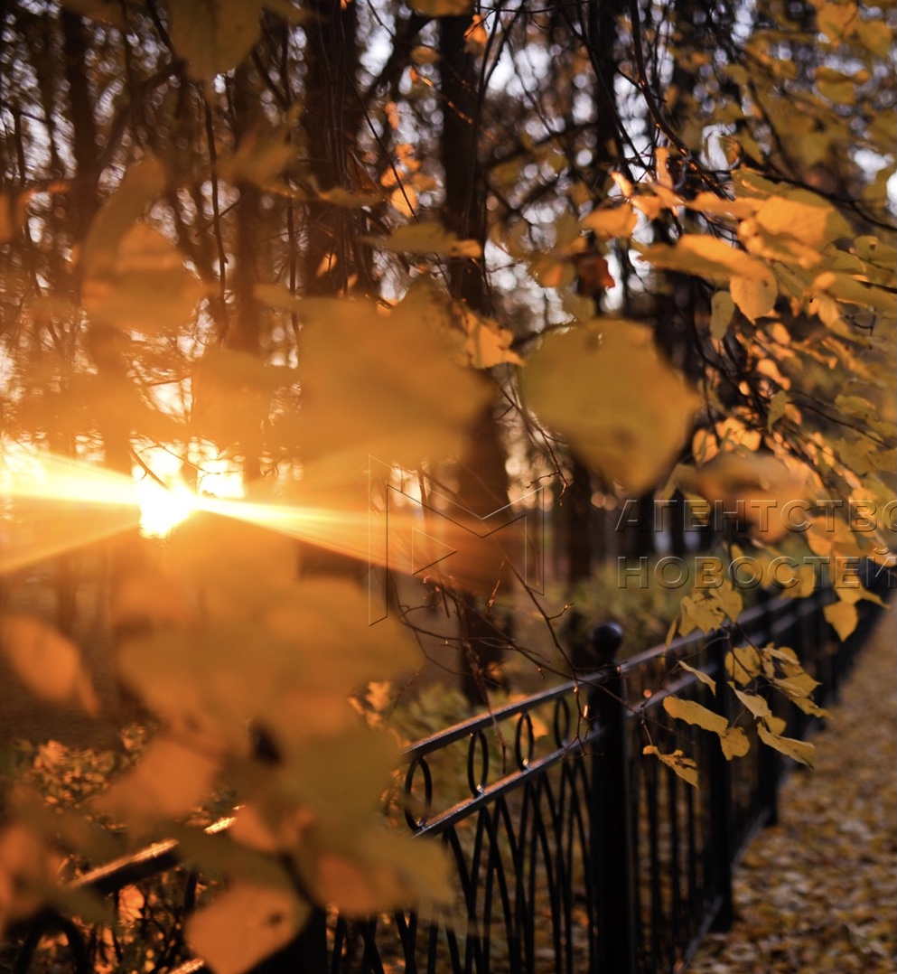 Перламутровое солнце