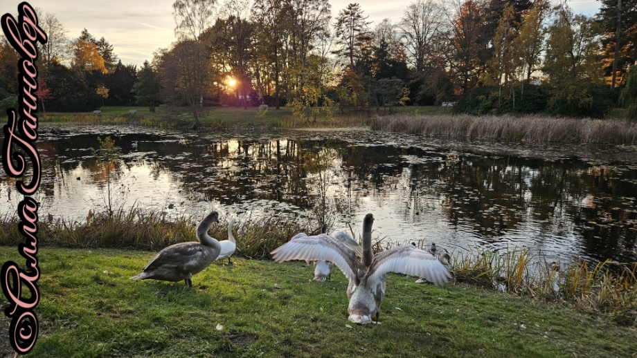 у них совсем иная жизнь