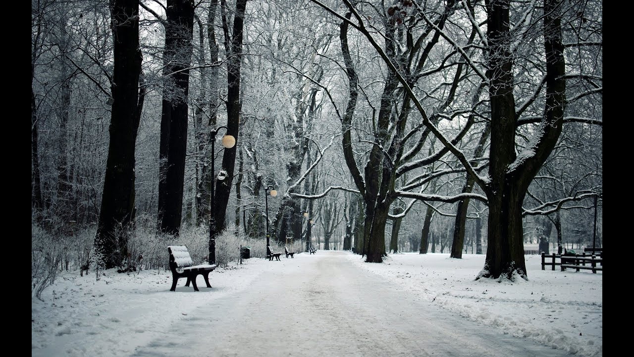 Пустынно стало в парке любимом