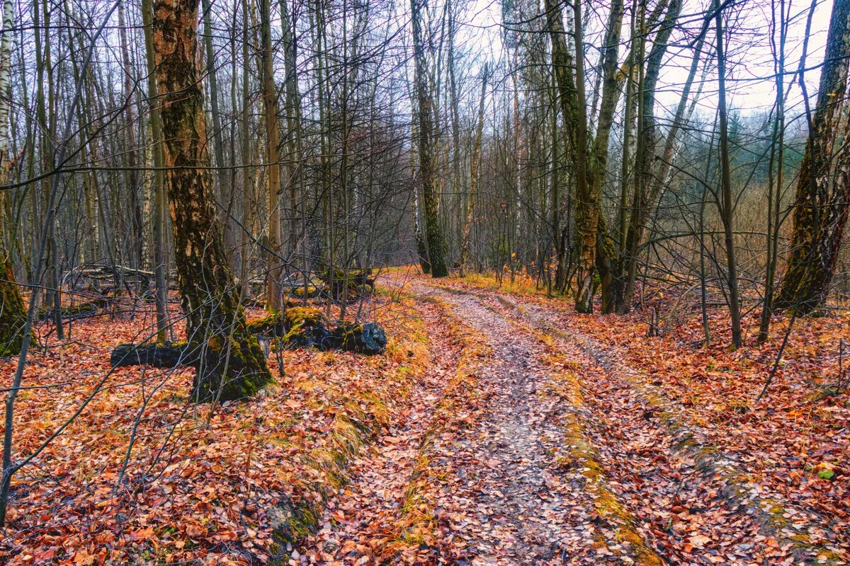 С любовью к Осени пародия