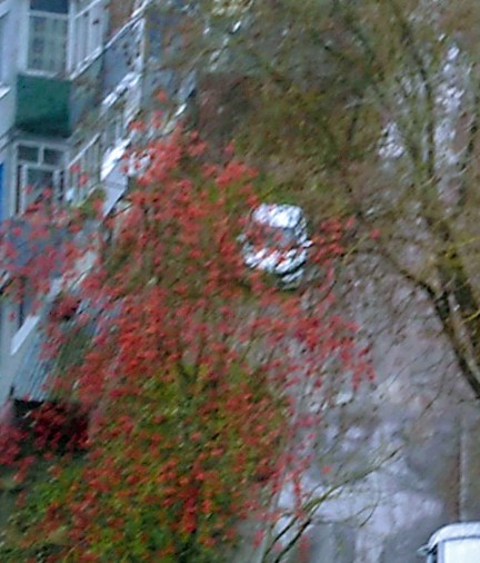 Среднерусское