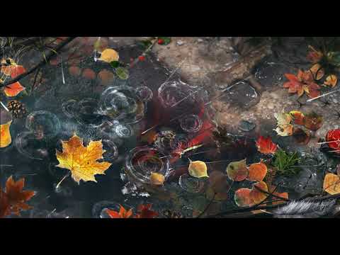 Ноябрь-осени финал