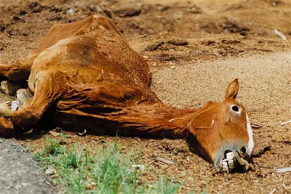 Творческий тупик