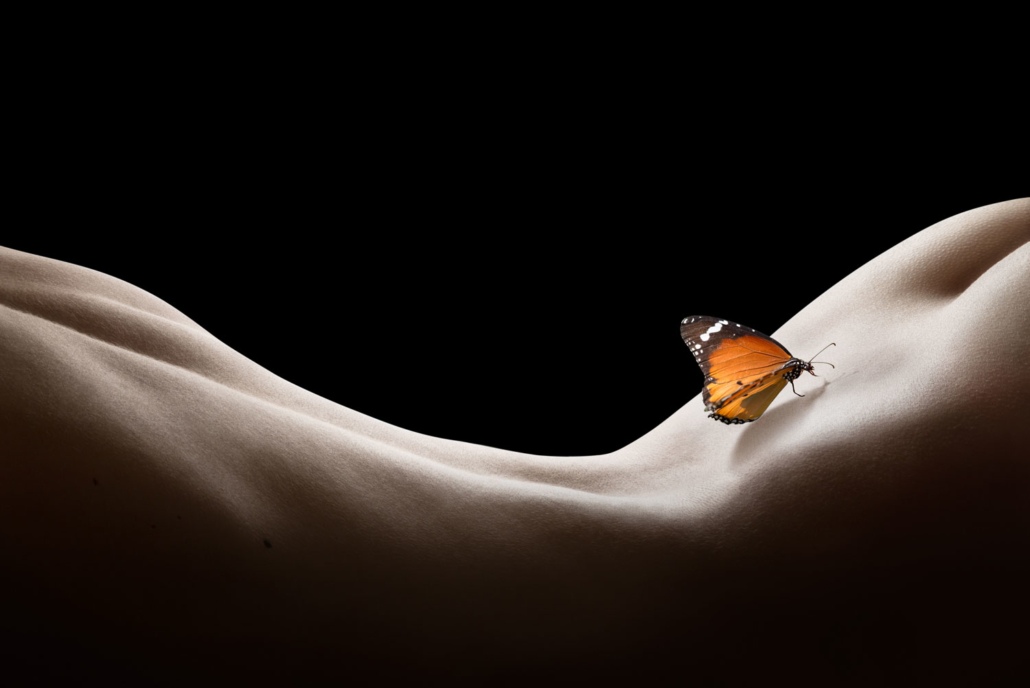 По кругу бёдер вновь скользя... Мотылёк