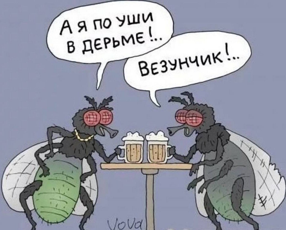 Заграница манит блеском, красотой