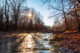 Природы серенькая краска