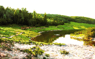 Это просто Левитан