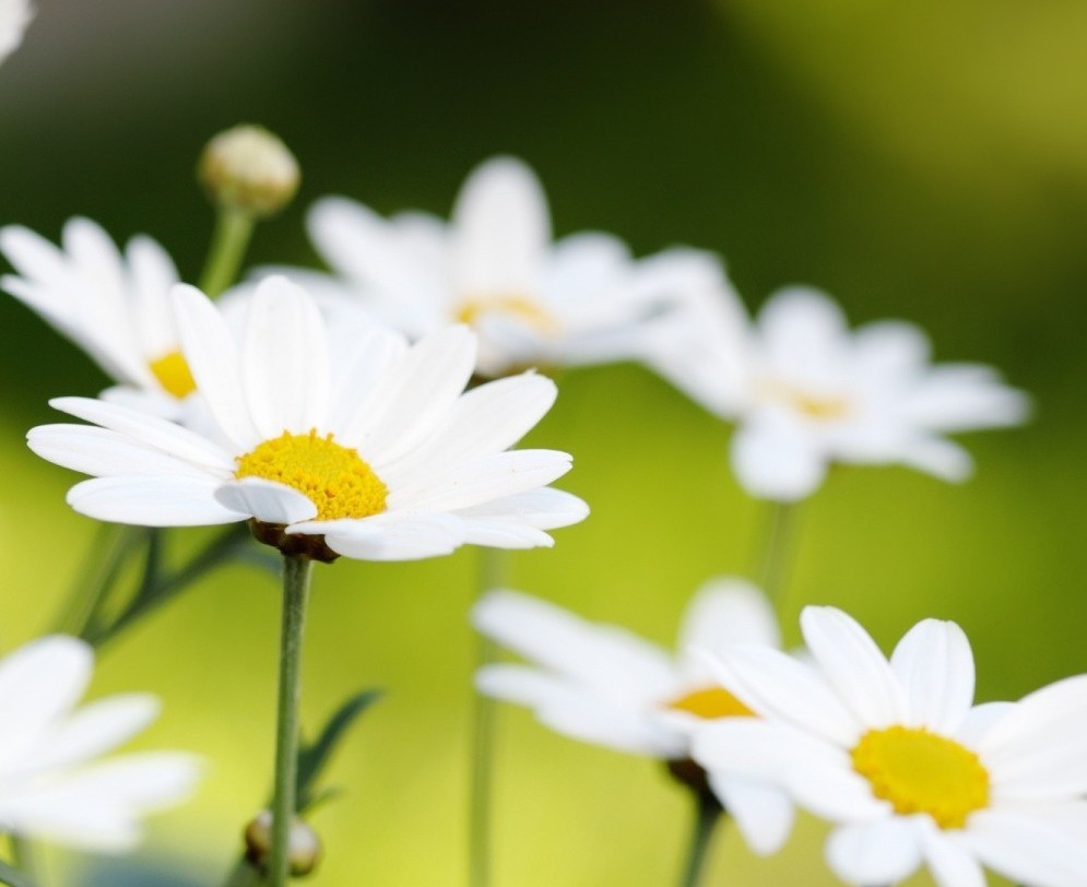 Все так, любимая, все так