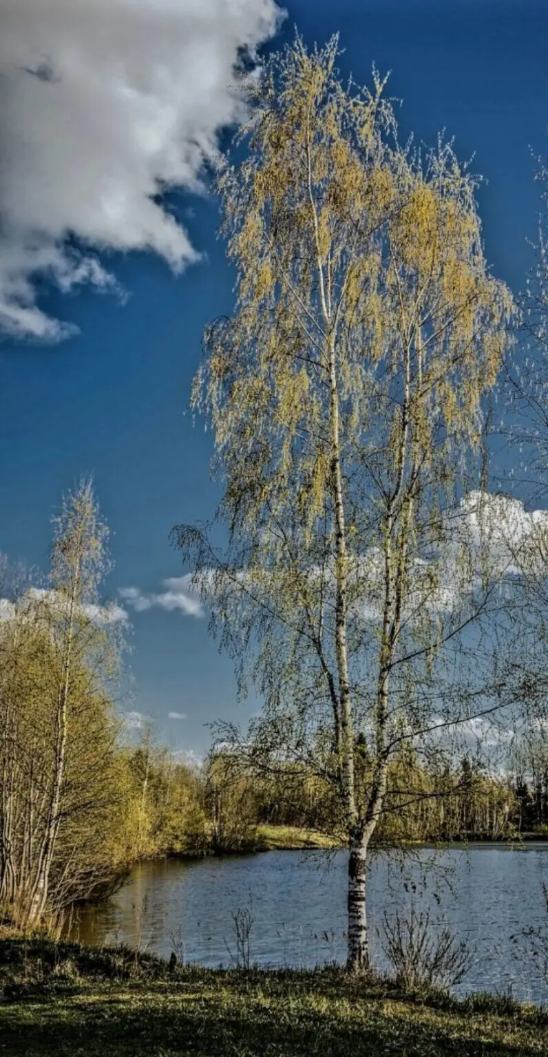 Нынче ветреная осень