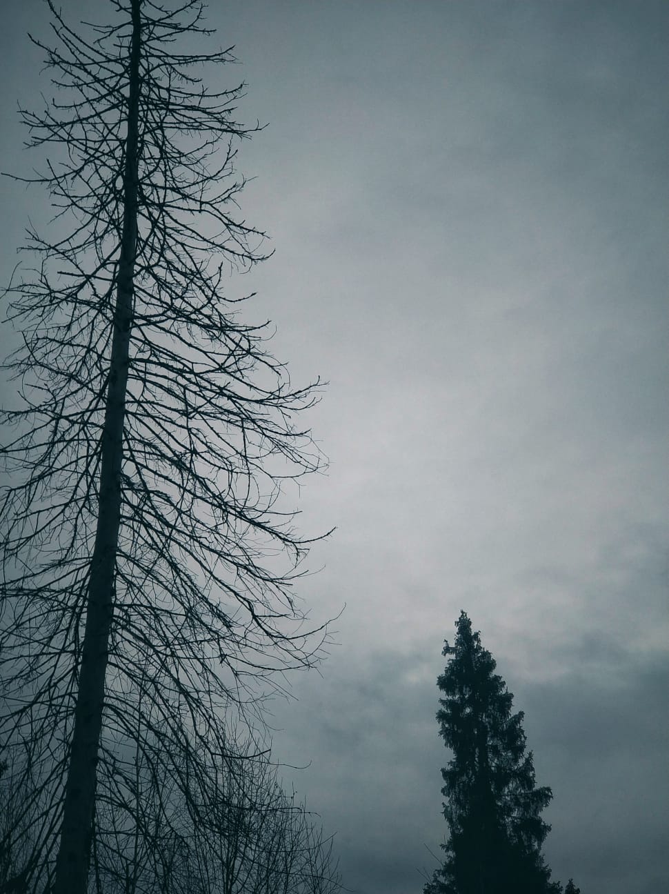 2025г. Я знал, я чувствовал душой. 1343