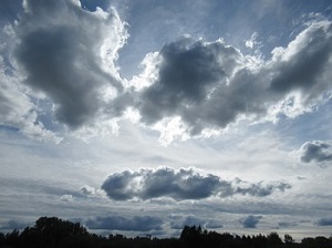 Мышь летучая солнце закрыла!