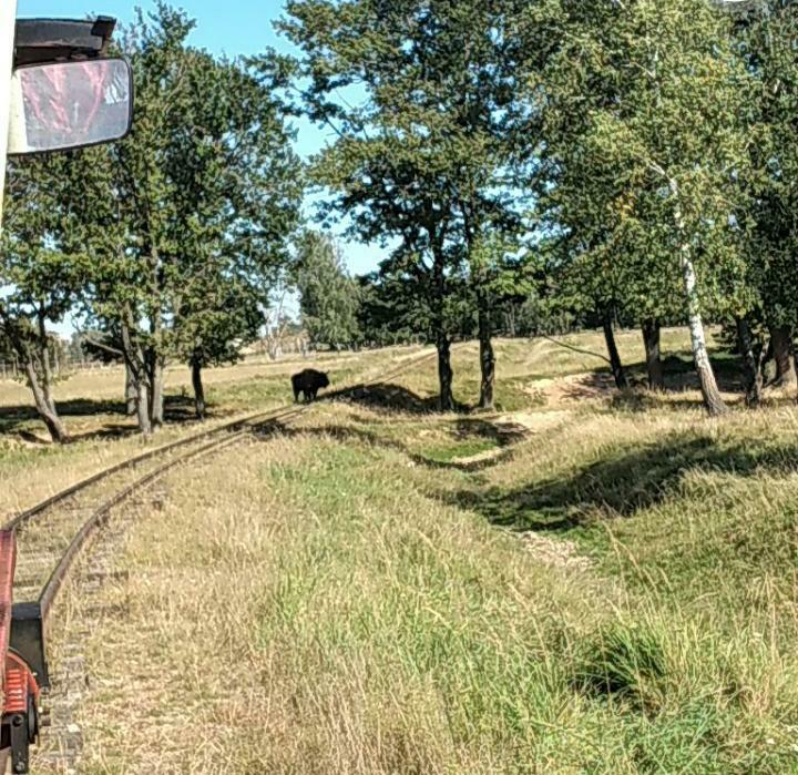 Дорога жизни