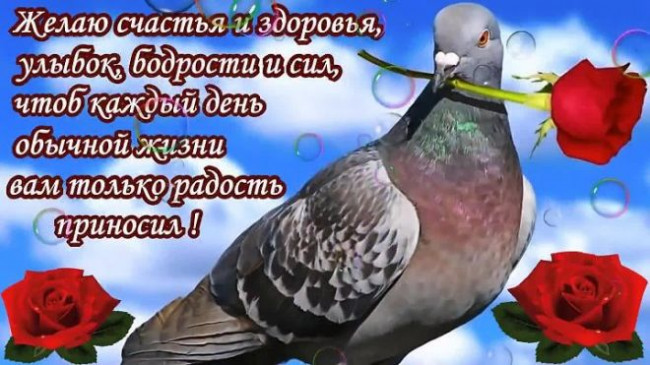 Друзьям с теплом! 149