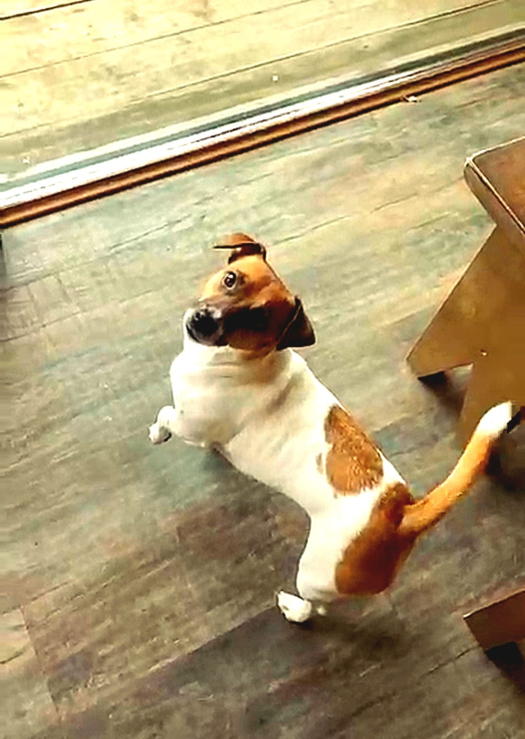 Опять у нас настали холода...