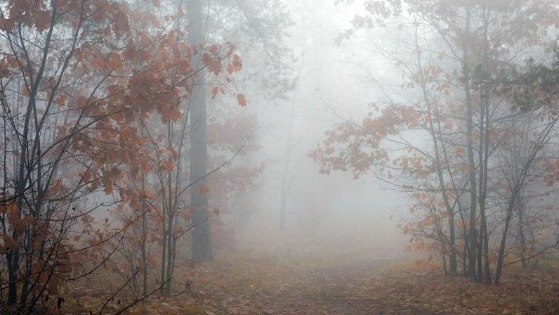 Рассвет ноябрьский