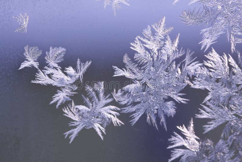 Ноябрьское