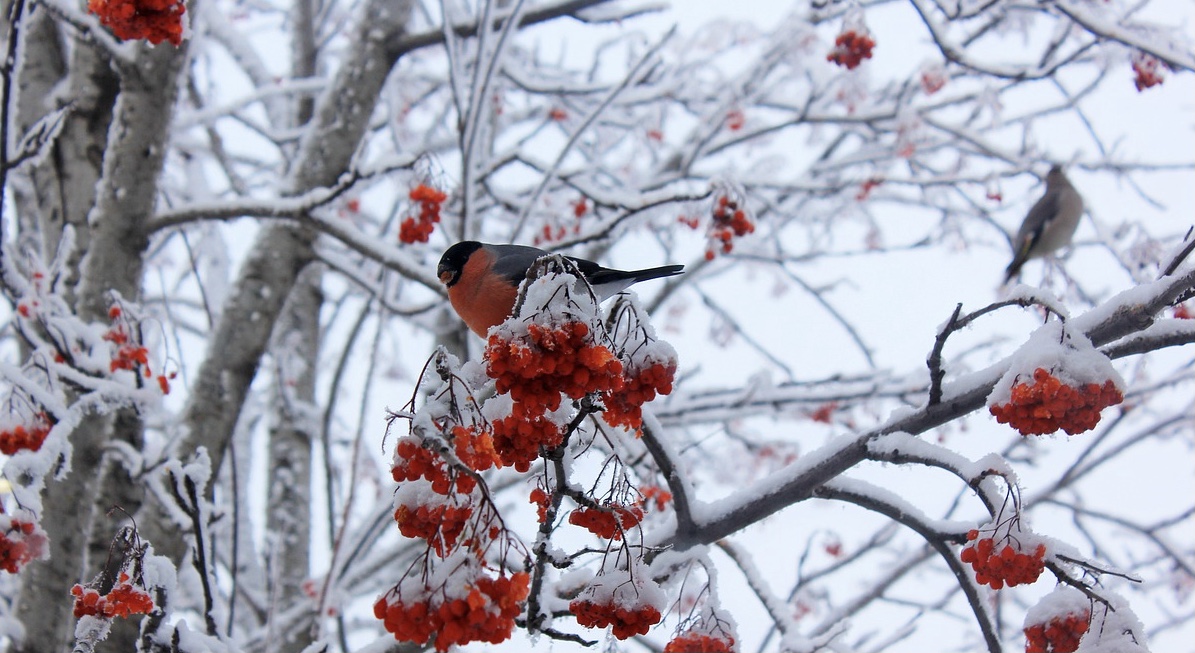 С утра спешим узнать погоду