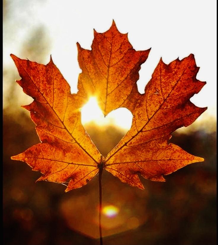 Осень пишет письма