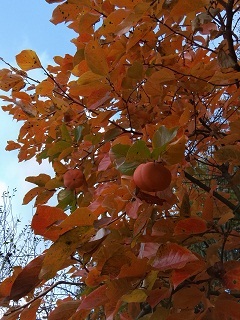 К настроению..