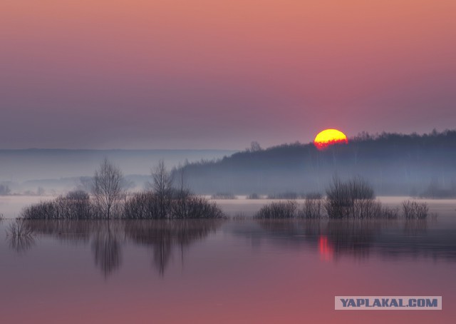 Я рассвет к себе пригласила