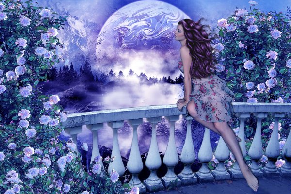 Накинув лунную вуаль