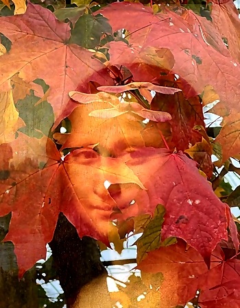 Улыбка Джоконды