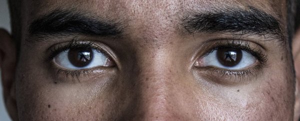 Черные смородины