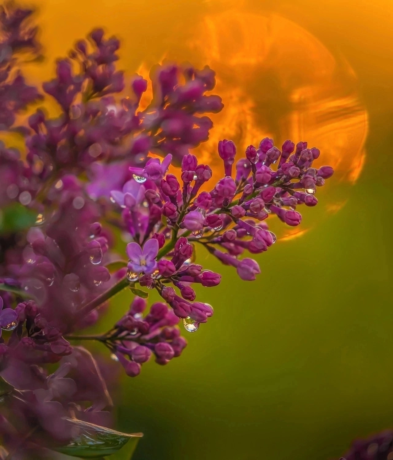 Молчит душа