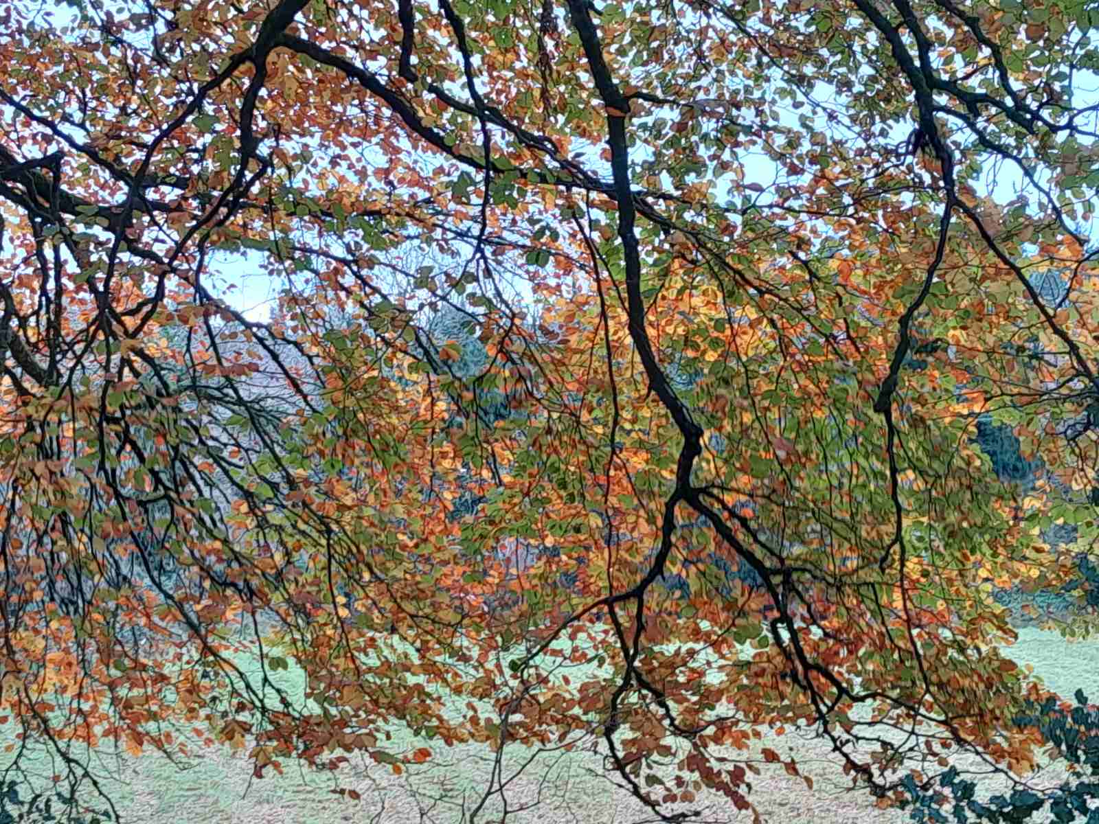 Волшебные узоры осени