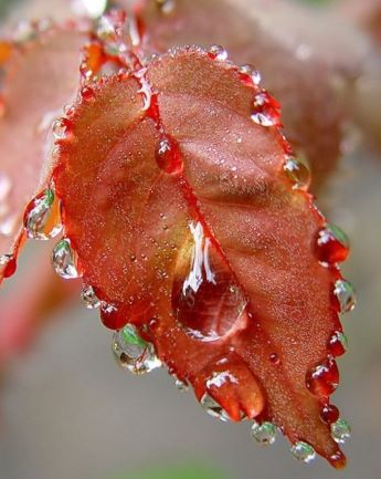 Прекрасные иллюзии разбились