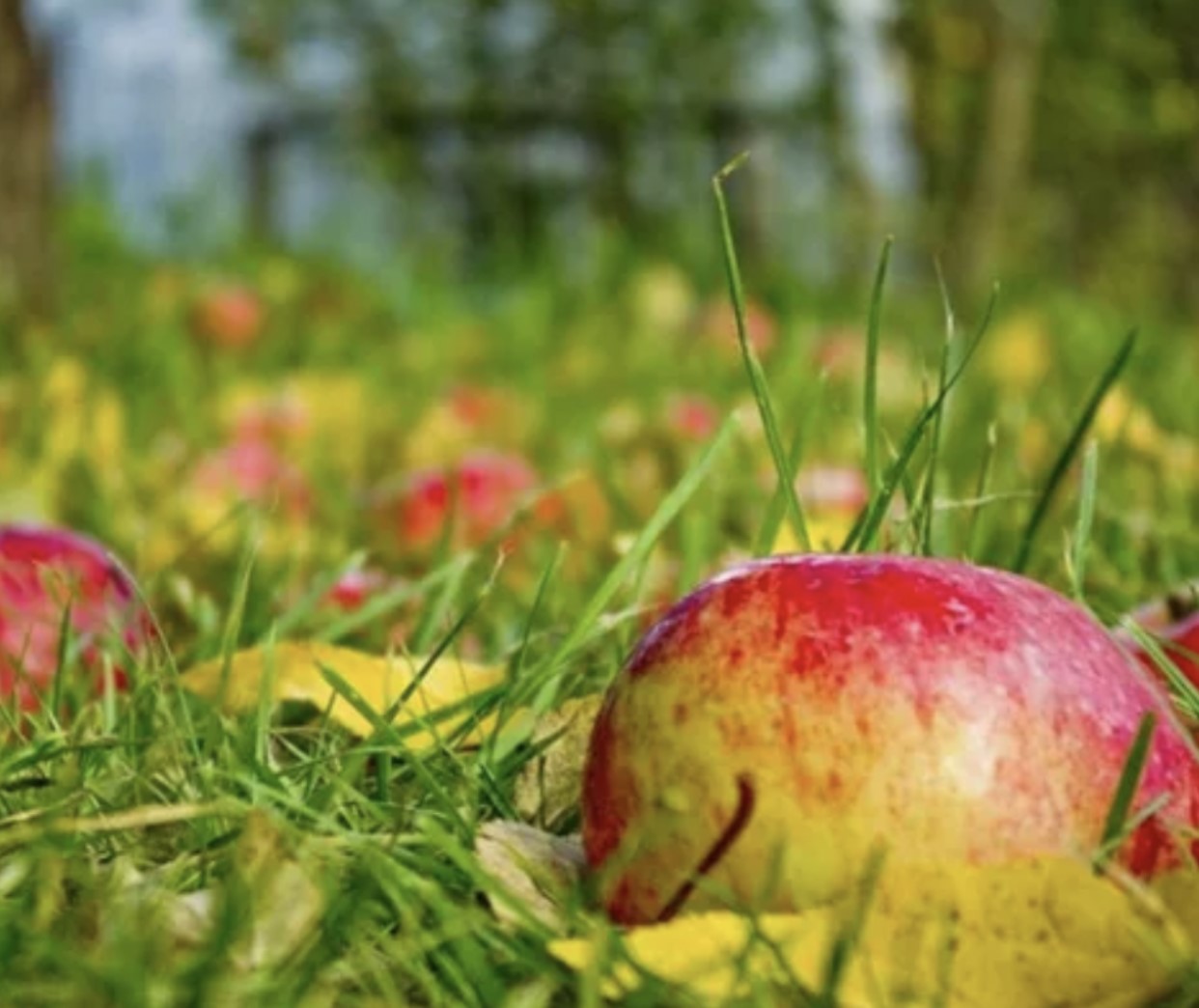 А в моем сентябре