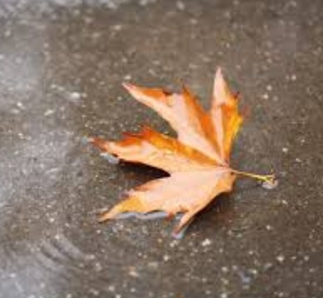 В сердце о главном слова