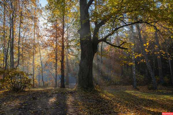 Ушло наше лето