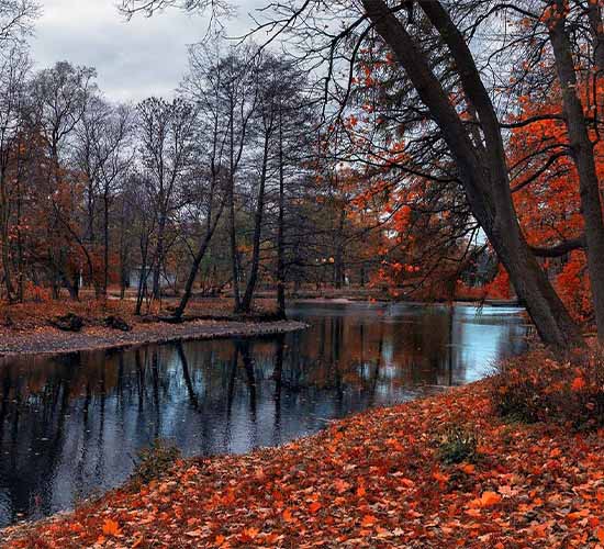 В Питере осень длиннее