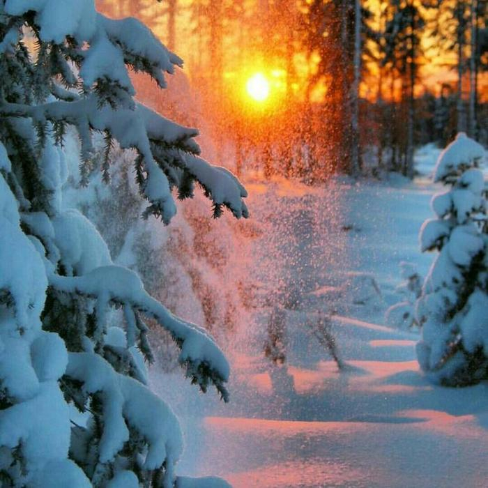 А у меня в гостях опять зима!