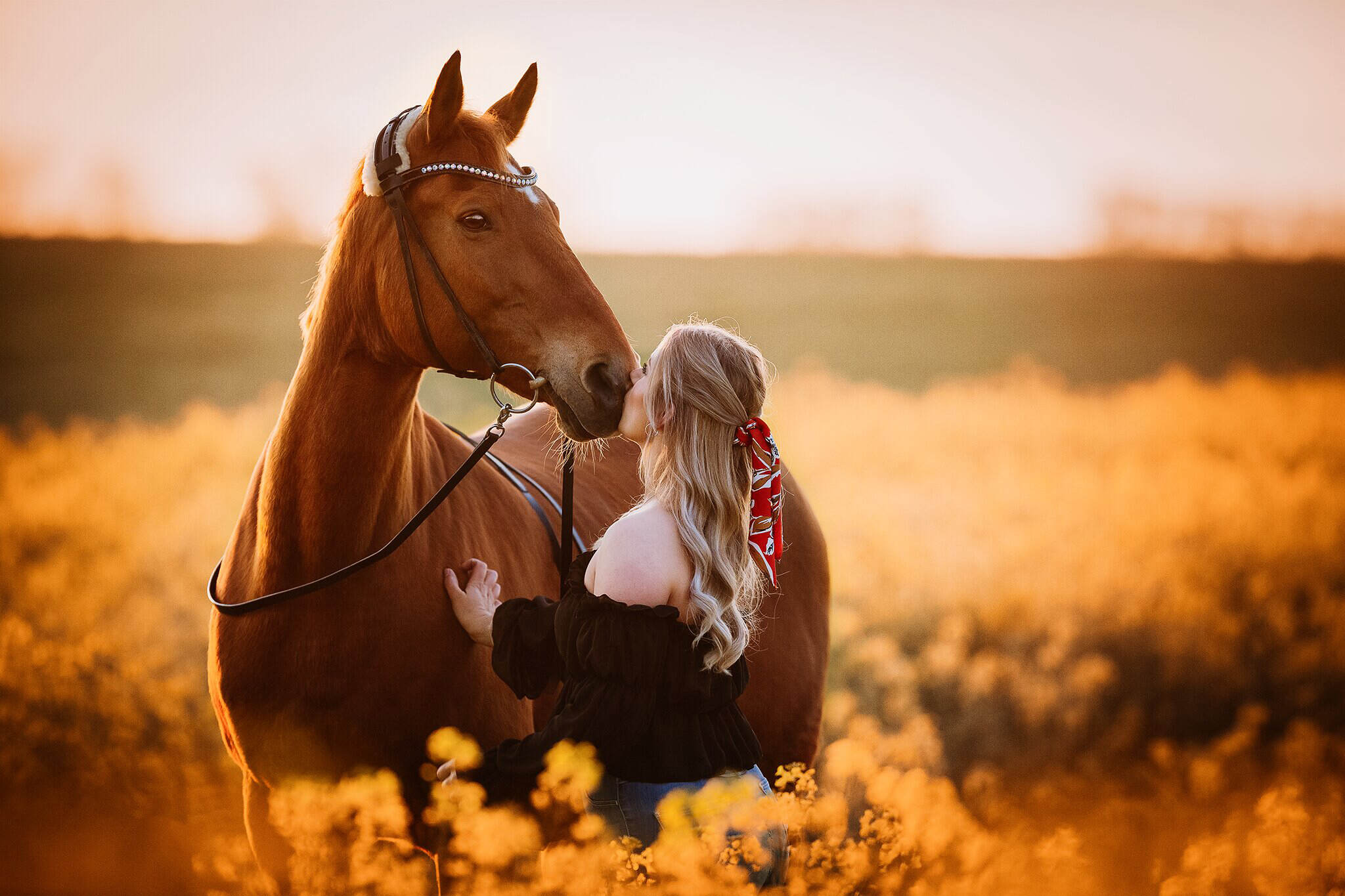 Все царства