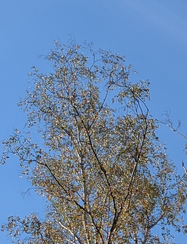 Стихи от 14. 11. 2025