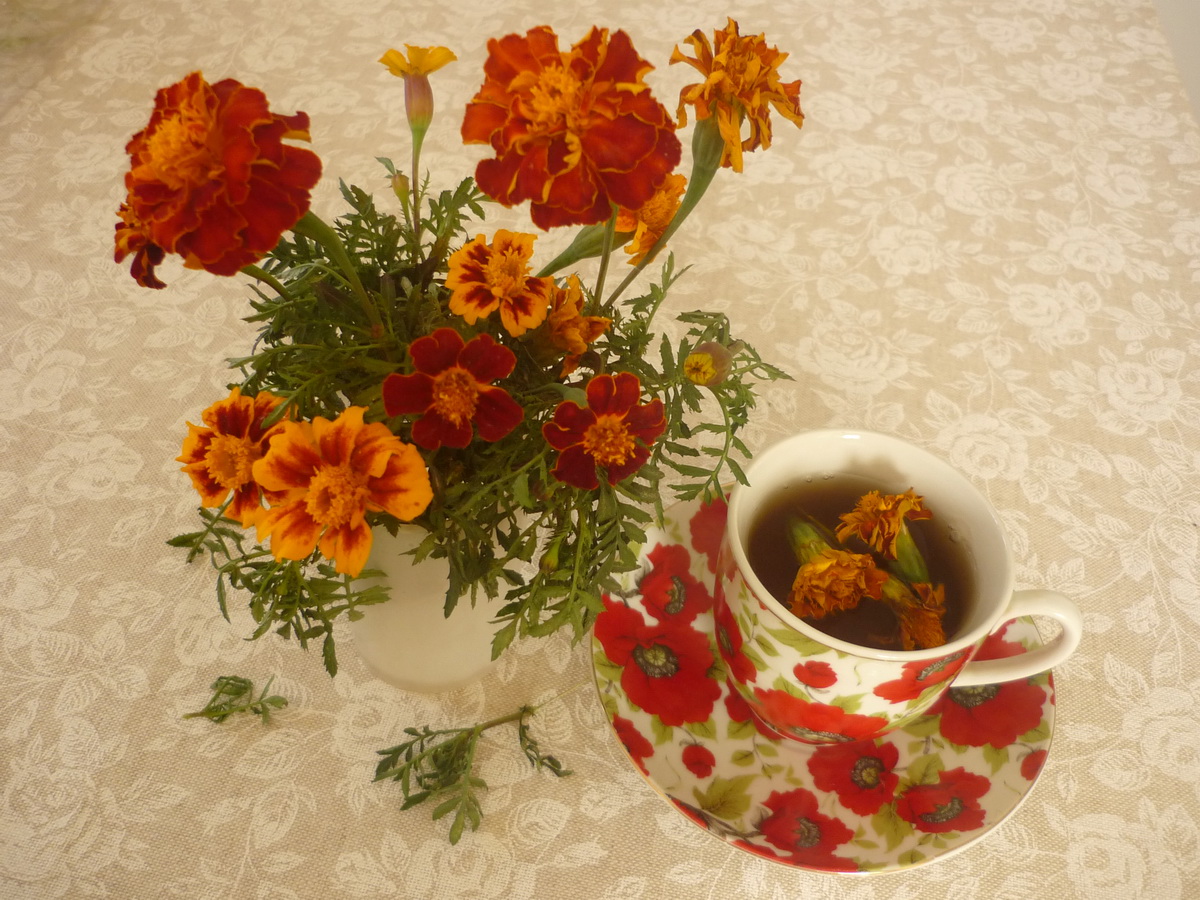 Кофе каждый день Бархатцы.. Очи черные кофейной но