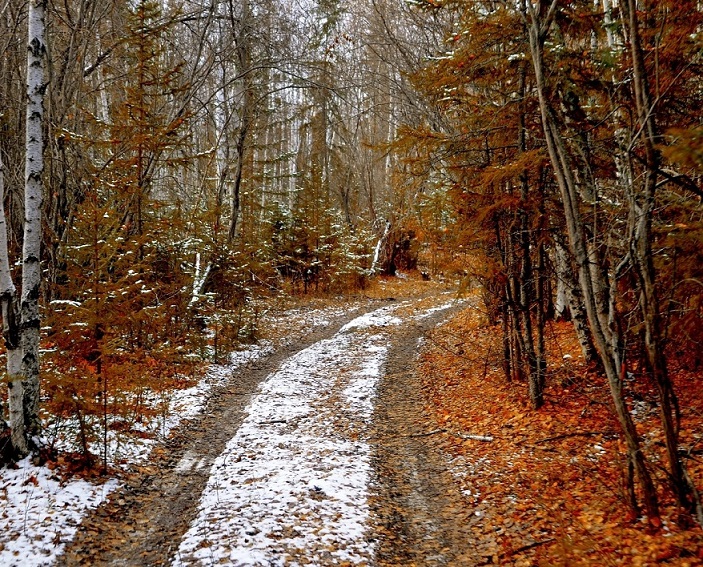 Ускользает осень