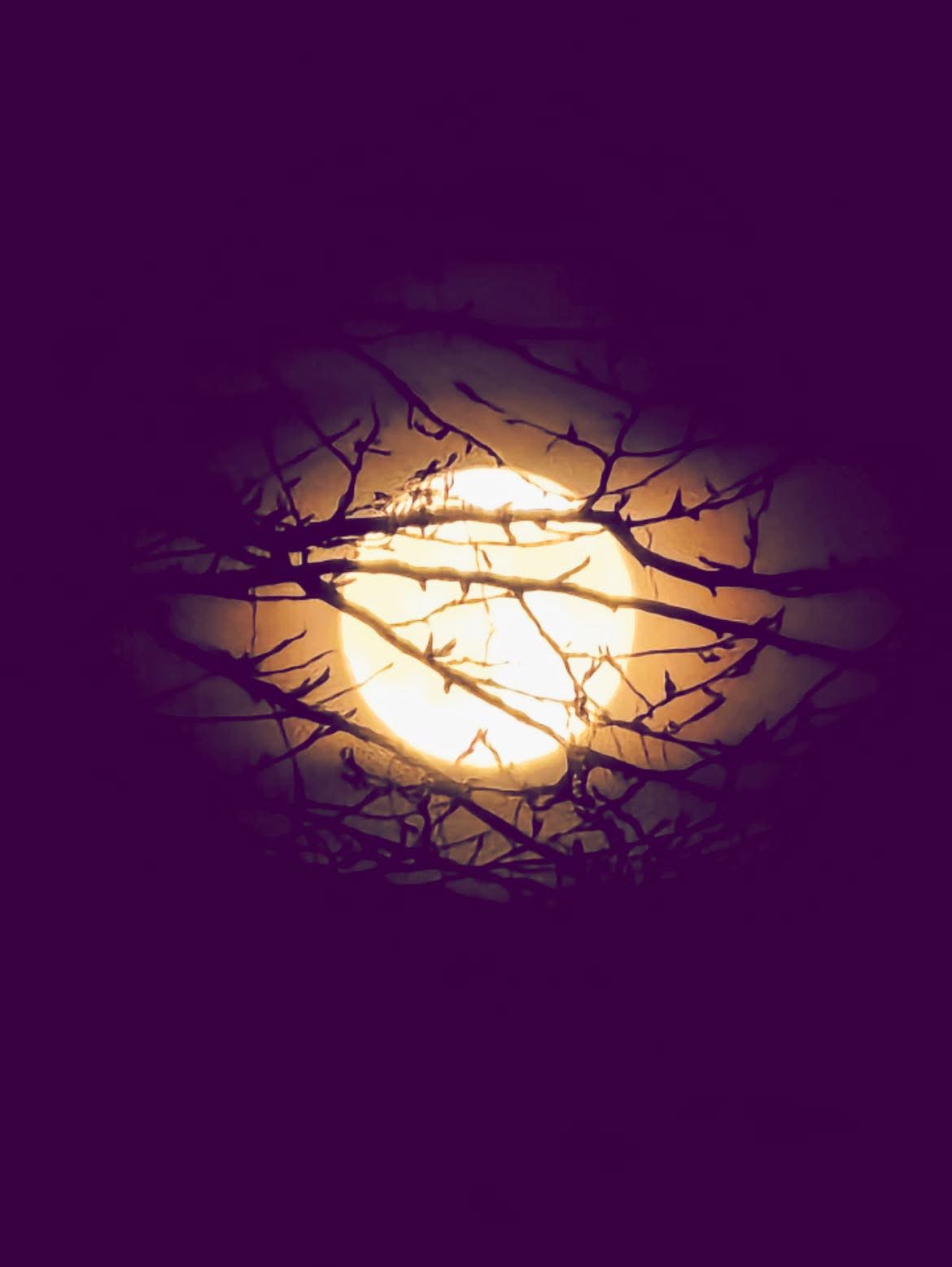 налилась луна