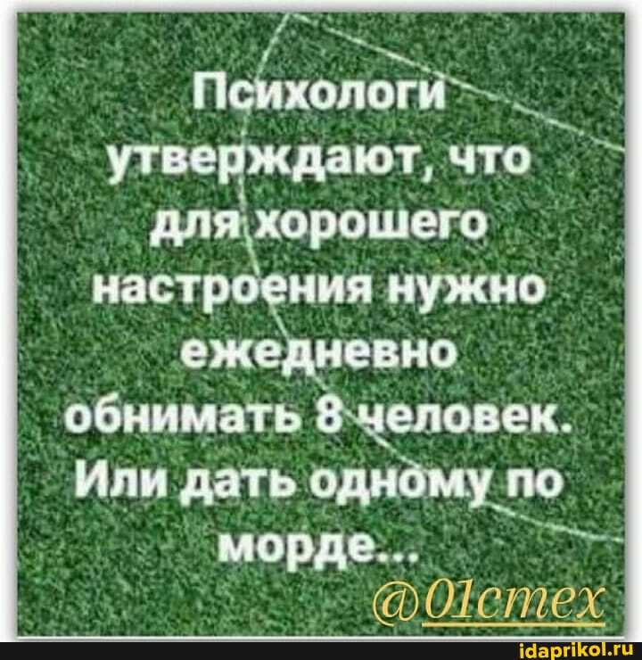 Мы терпим, а нужно Набить им Рожи,