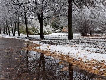 Осень дождливая,
