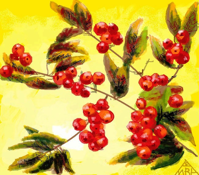 Ягодой красной...