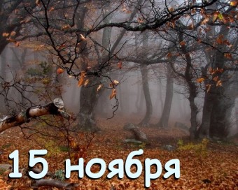 Пятнадцатое ноября 2025 г