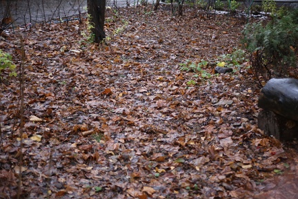 Зимы я запах ощущаю