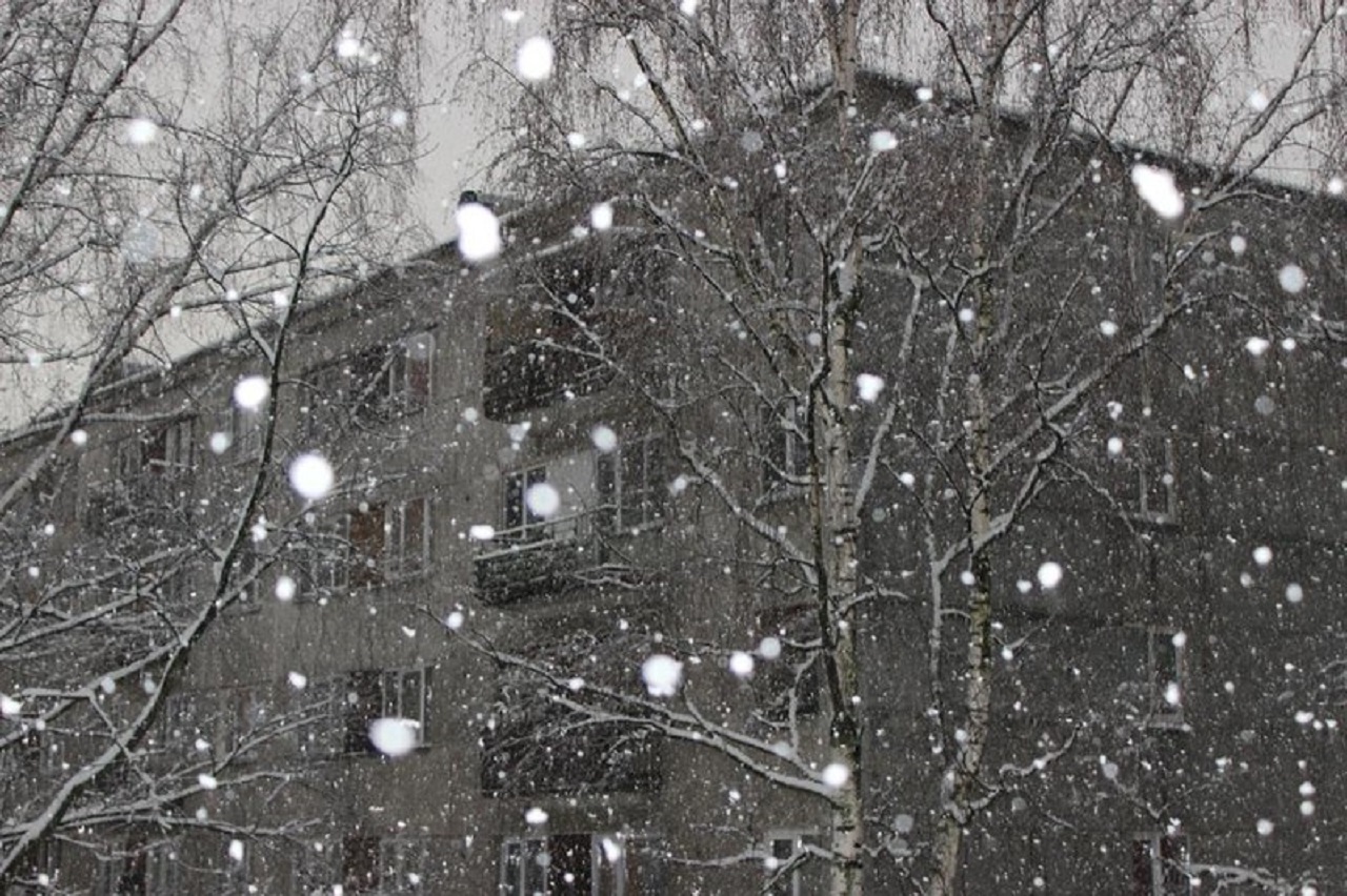 Первая предзимняя отрада...