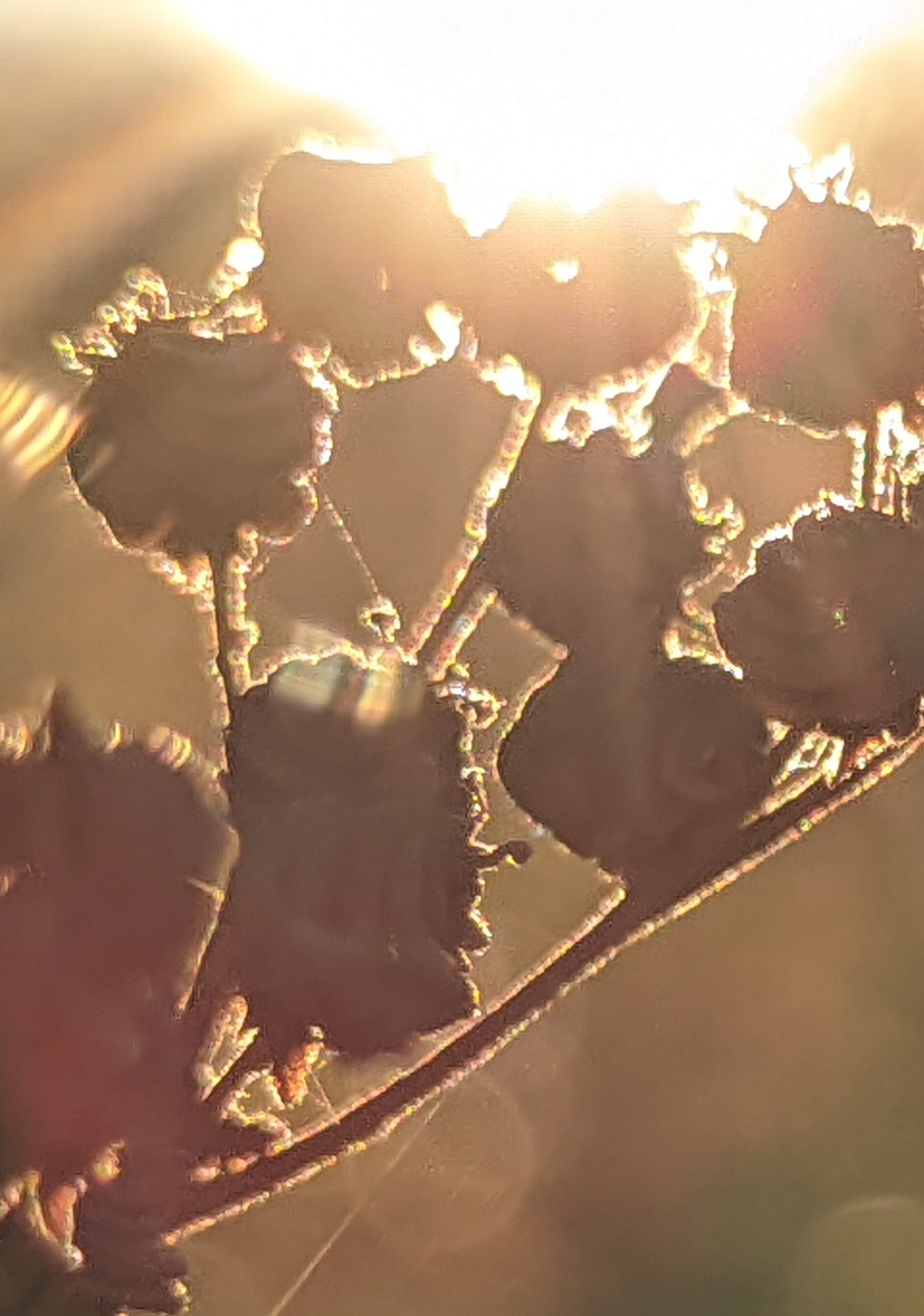 Стихи от 14. 11. 2025