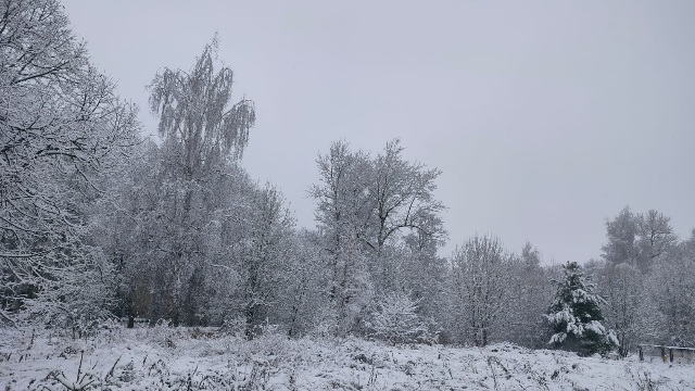 Первый снег...