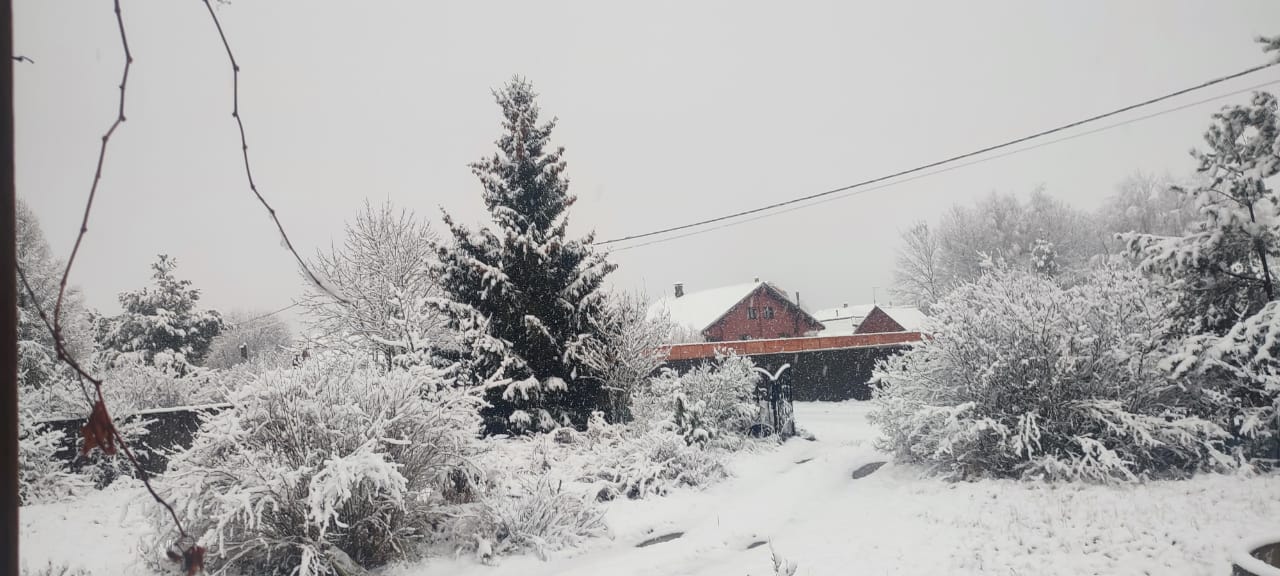 Первый снег